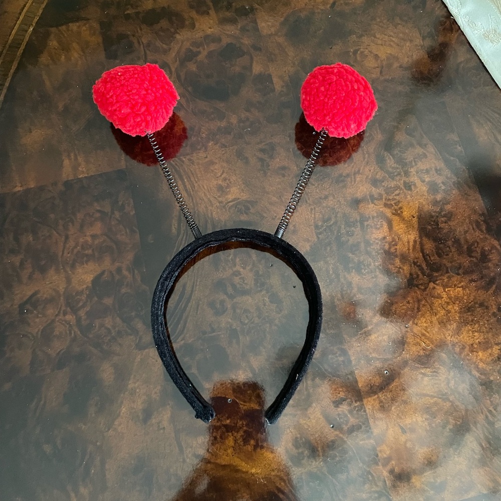 Lady bug costume. Size 2t - Picture 6 of 6